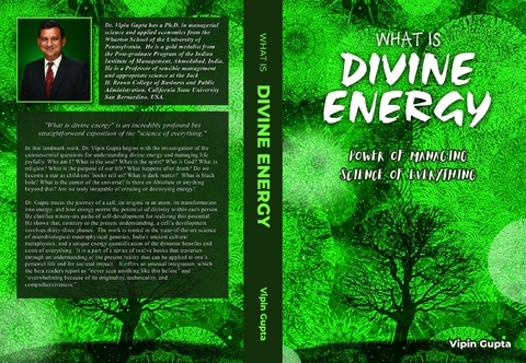 What Is Divine Energy - Vipin Gupta