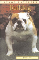 Bulldog - Judith Daws