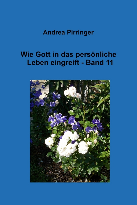 Wie Gott in das persönliche Leben eingreift - Band 11 - Andrea Pirringer