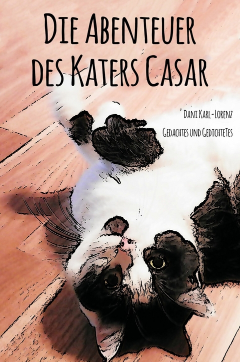 Die Abenteuer des Katers Casar - Dani Karl-Lorenz
