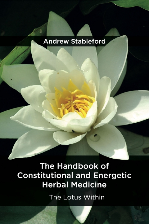 The Handbook of Constitutional and Energetic Herbal Medicine - Andrew Stableford