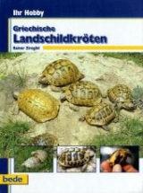 Ihr Hobby Griechische Landschildkröten - Rainer Zirngibl
