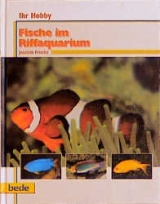 Ihr Hobby Fische im Riffaquarium - Joachim Frische