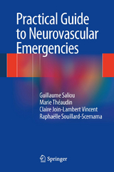 Practical Guide to Neurovascular Emergencies -  Guillaume Saliou,  Raphaelle Souillard-Scemama,  Marie Theaudin,  Claire Join-Lambert Vincent