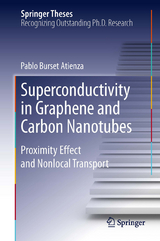 Superconductivity in Graphene and Carbon Nanotubes - Pablo Burset Atienza