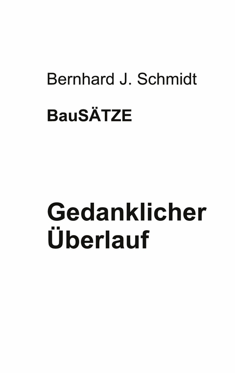 Gedanklicher Überlauf -  Bernhard J. Schmidt