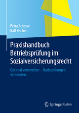 Praxishandbuch Betriebsprüfung im Sozialversicherungsrecht - Petra Schewe, Ralf Fischer