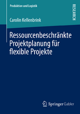 Ressourcenbeschränkte Projektplanung für flexible Projekte - Carolin Kellenbrink