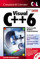 Visual C++ 6 in Team