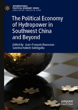 The Political Economy of Hydropower in Southwest China and Beyond - 