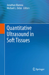 Quantitative Ultrasound in Soft Tissues - 
