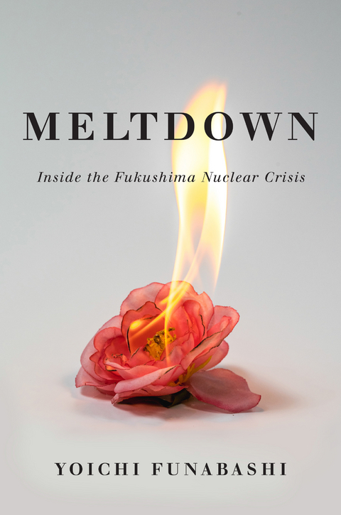 Meltdown -  Yoichi Funabashi