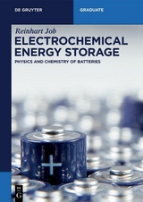 Electrochemical Energy Storage -  Reinhart Job