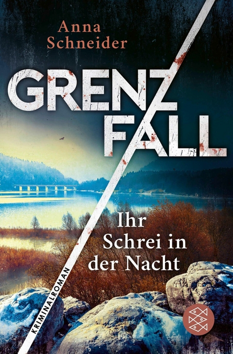 Grenzfall - Ihr Schrei in der Nacht -  Anna Schneider