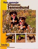 Mein gesunder Schweizer Sennenhund - Dominik Kieselbach