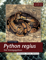 Python regius - Thomas Kölpin
