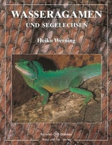 Wasseragamen und Segelechsen - Heiko Werning