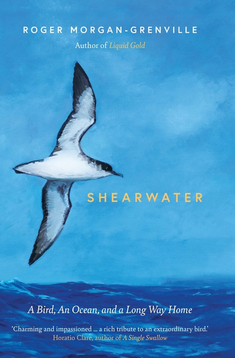 Shearwater -  Roger Morgan-Grenville