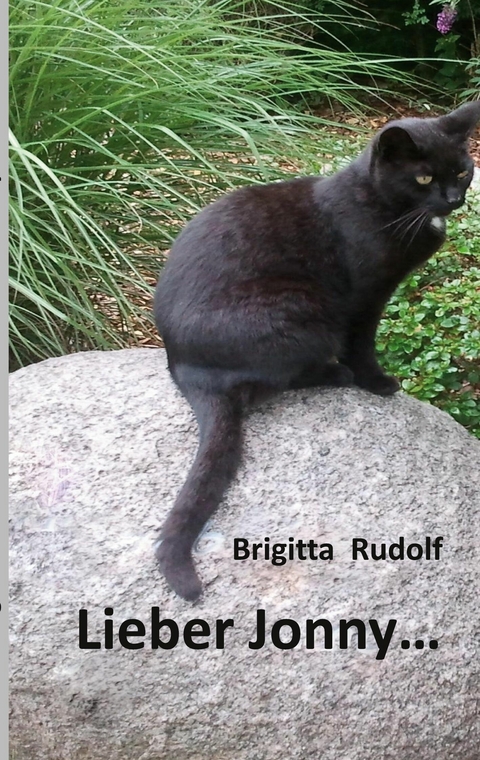 Lieber Jonny - Brigitta Rudolf