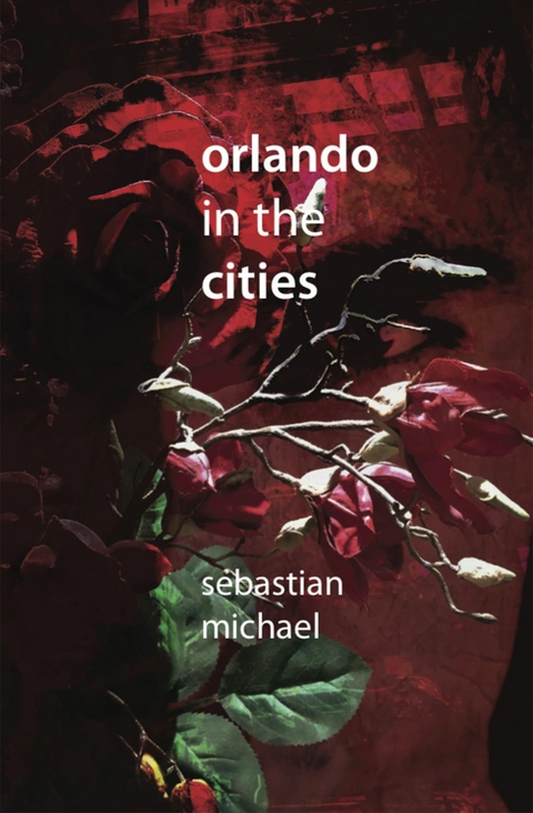 Orlando in the Cities - Sebastian Michael