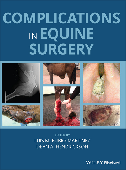 Complications in Equine Surgery - 