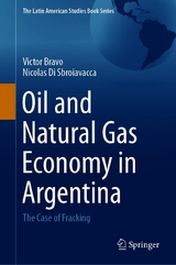 Oil and Natural Gas Economy in Argentina - Victor Bravo, Nicolas Di Sbroiavacca