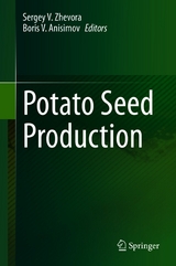 Potato Seed Production - 