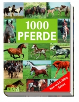 1000 Pferde - Ulrike Schöber