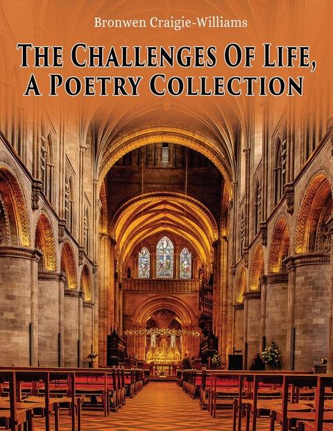 Challenges Of Life -  Bronwen Craigie-Williams