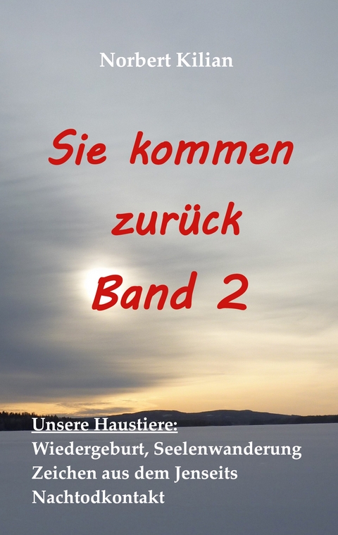 Sie kommen zurück Band 2 - Norbert Kilian