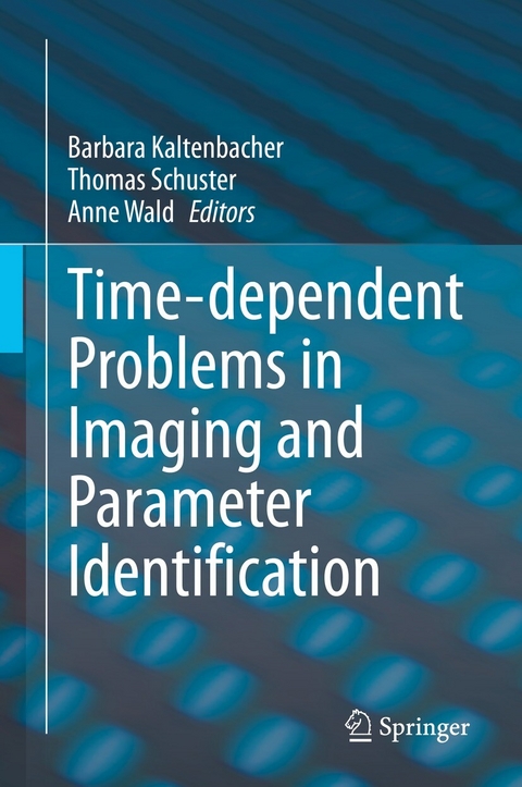 Time-dependent Problems in Imaging and Parameter Identification - 