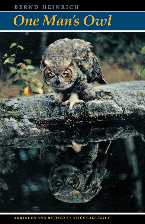 One Man's Owl -  Bernd Heinrich