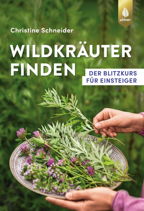 Wildkräuter finden - 