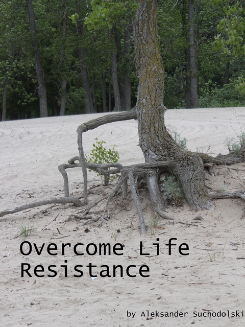 Overcome Life Resistance - Aleksander Suchodolski