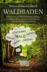 Stress abbauen durch Waldbaden - Yasmin Stenz