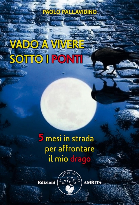 Vado a vivere sotto i ponti - Paolo Pallavidino