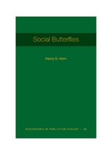 Social Butterflies -  Henry S. Horn