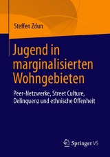 Jugend in marginalisierten Wohngebieten -  Steffen Zdun