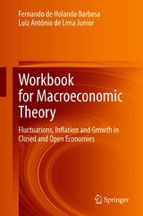 Workbook for Macroeconomic Theory - Fernando de Holanda Barbosa, Luiz Antônio de Lima Junior