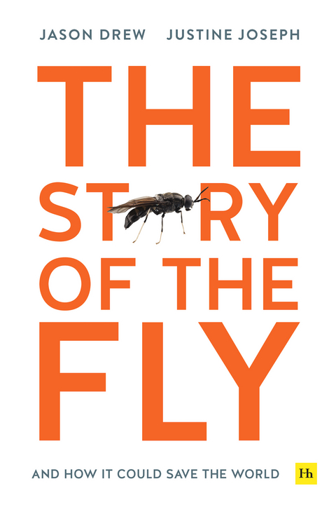 Story of the Fly -  Jason Drew