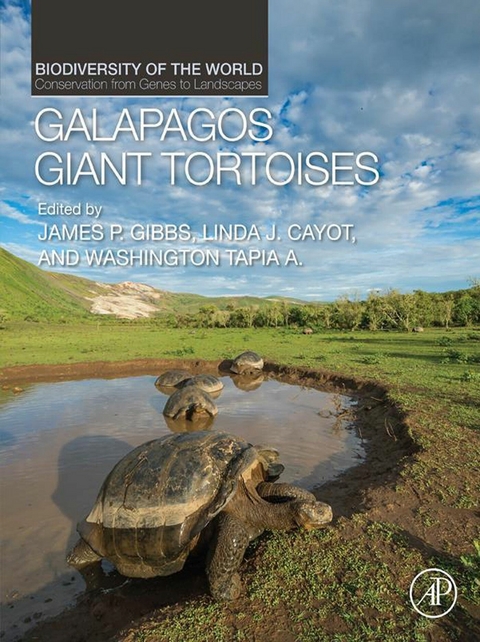 Galapagos Giant Tortoises - 