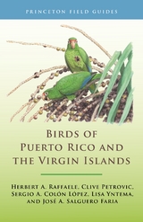Birds of Puerto Rico and the Virgin Islands -  Jose A. Salguero Faria,  Sergio A. Colon Lopez,  Clive Petrovic,  Herbert A. Raffaele,  Lisa D. Yntema