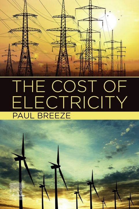Cost of Electricity -  Paul Breeze