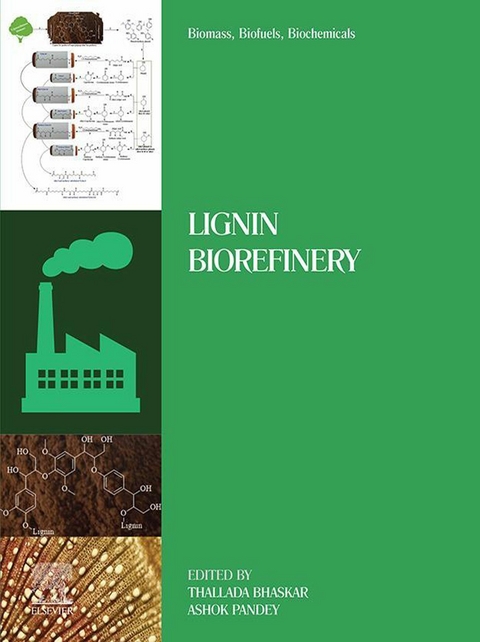 Biomass, Biofuels, Biochemicals - 