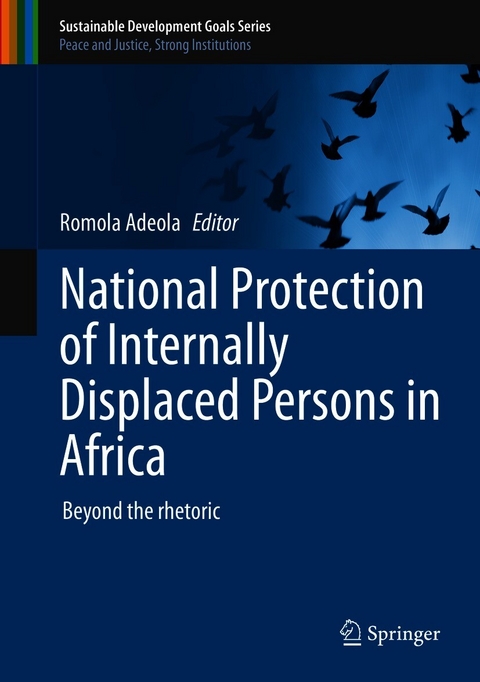 National Protection of Internally Displaced Persons in Africa - 