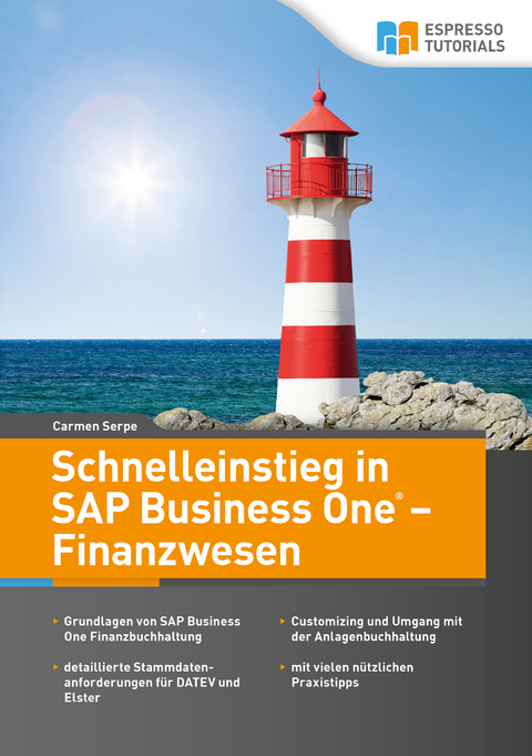 Schnelleinstieg in SAP Business One - Finanzwesen - Carmen Serpe