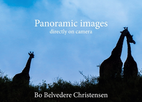 Panoramic images - Bo Belvedere Christensen
