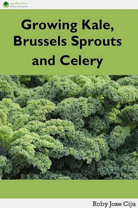 Growing Kale Leaves, Brussels Sprouts and Celery - Roby Jose Ciju