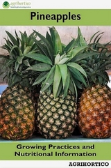 Pineapples - Agrihortico Cpl