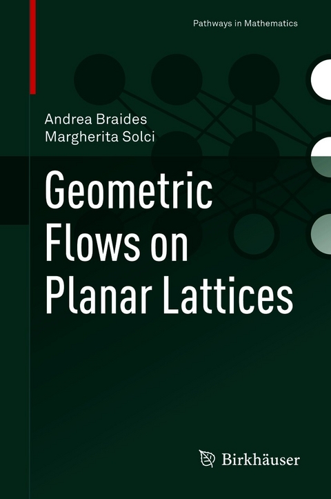 Geometric Flows on Planar Lattices - Andrea Braides, Margherita Solci